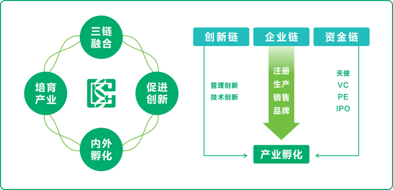 尊龙凯时式孵化